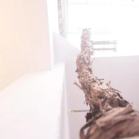 Toniko Appartement *